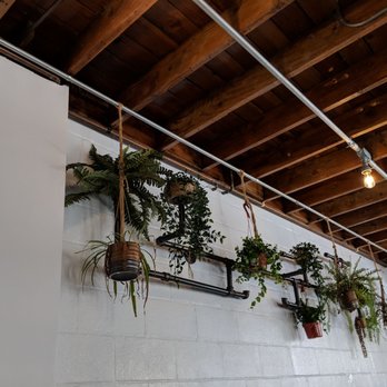 Brew Kitchen Bar - Gastropubs Near Me - Monterey Park, California Brew Kitchen Bar - Gastropubs Near Me - Monterey Park, California