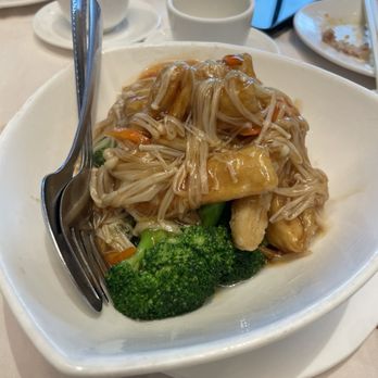 Dynasty Seafood Restaurant - Braised egg tofu with mushroom and vegetables - Dim Sum Near Me - Vancouver, British Columbia Dynasty Seafood Restaurant - Braised egg tofu with mushroom and vegetables - Dim Sum Near Me - Vancouver, British Columbia