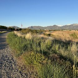 Decker Lake Park