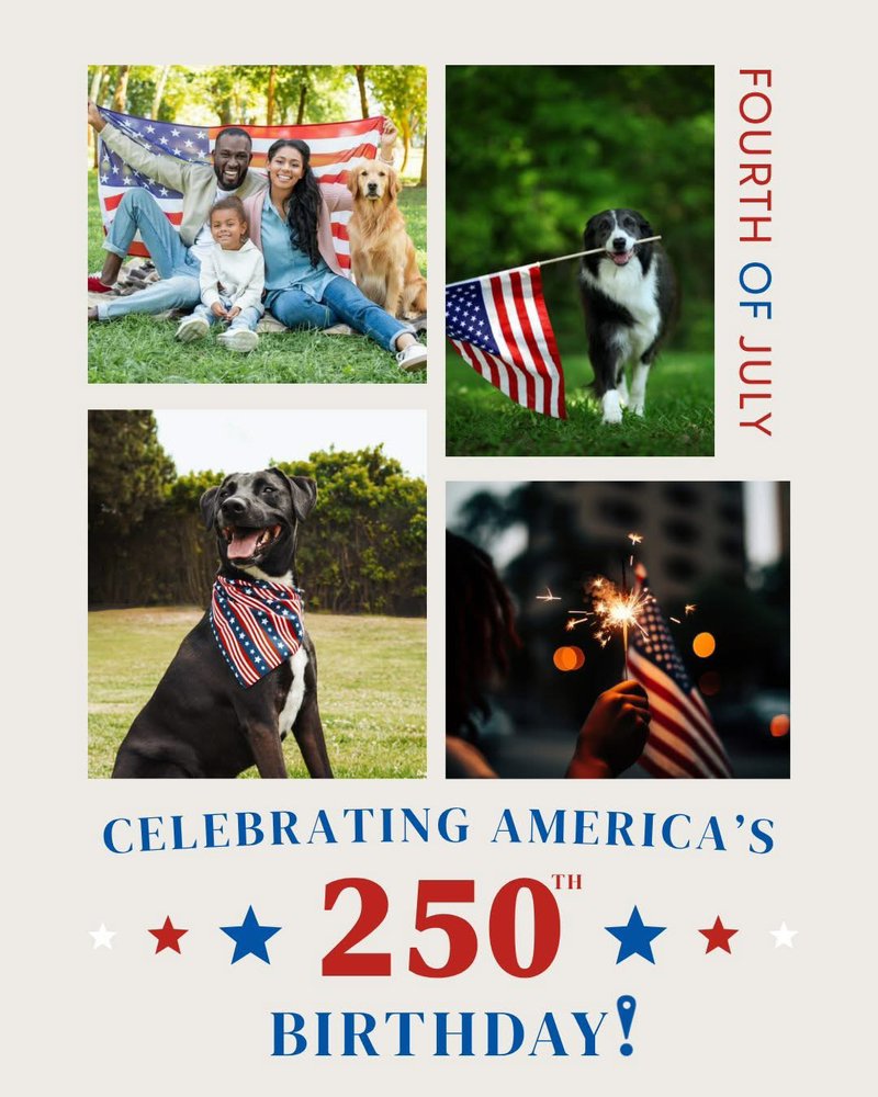 Fetch! Pet Care East Hollywood - pet boarding facility in Hollywood, FL