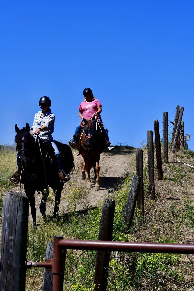 Dunrovin Ranch - wedding in Lolo, MT