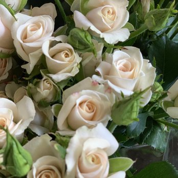 Neve Brothers - Florists Near Me - Petaluma, California Neve Brothers - Florists Near Me - Petaluma, California