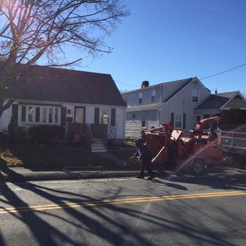Newcomb's Tree Service - Tree Services Near Me - Halifax, Massachusetts