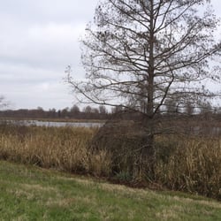 Yazoo National Wildlife