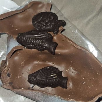 Christophe's Macaron et Chocolat - Inside the chocolate shark was chocolate fish!! - Bakeries Near Me - Charleston, South Carolina