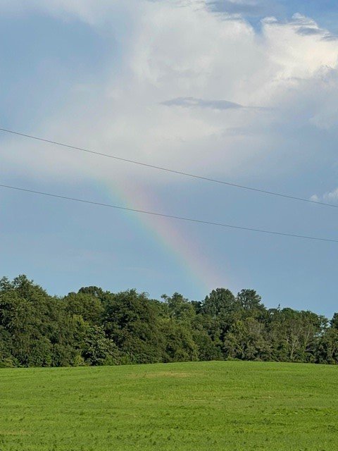 Social spots from Wytch Wynd Farm