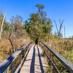 Saugerties Lighthouse Conservancy