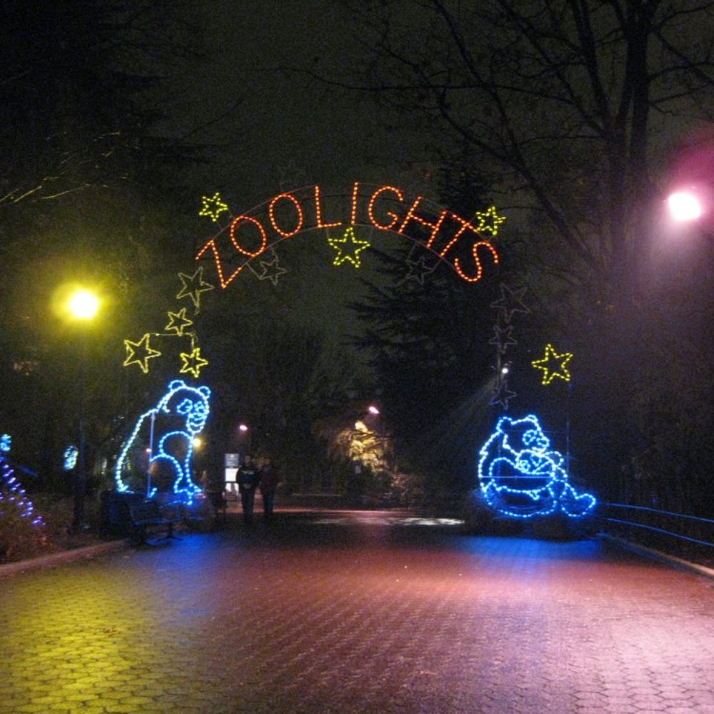 ZooLights - Zoos Near Me - Washington, DC, District of Columbia