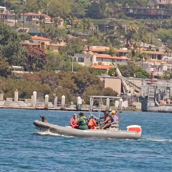 Best Western Plus Island Palms Hotel & Marina - Navy seals - San Diego, CA