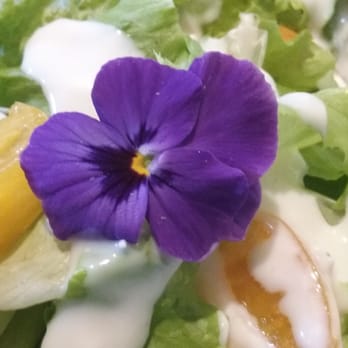 Farmstead Creamery - Nice added touch to the salad. - Organic Stores Near Me - Hayward, Wisconsin