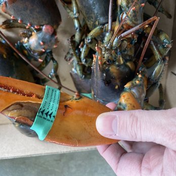 Chesapeake Crab Connection - More cracked claws and exposed meat. - Seafood Near Me - Oxford, Pennsylvania