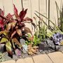 Photo of Rooted Landscape And Garden Design
