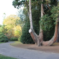 The Sir Thomas and Lady Dixon Park