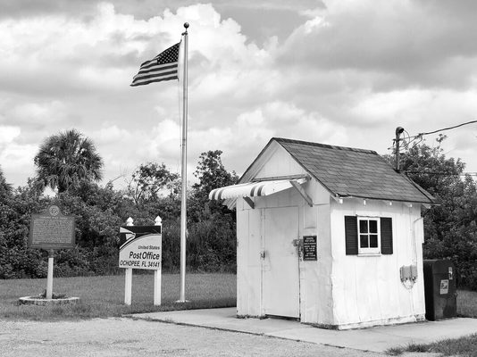 USA Postal Service by null