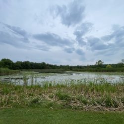 Half Day Forest Preserve