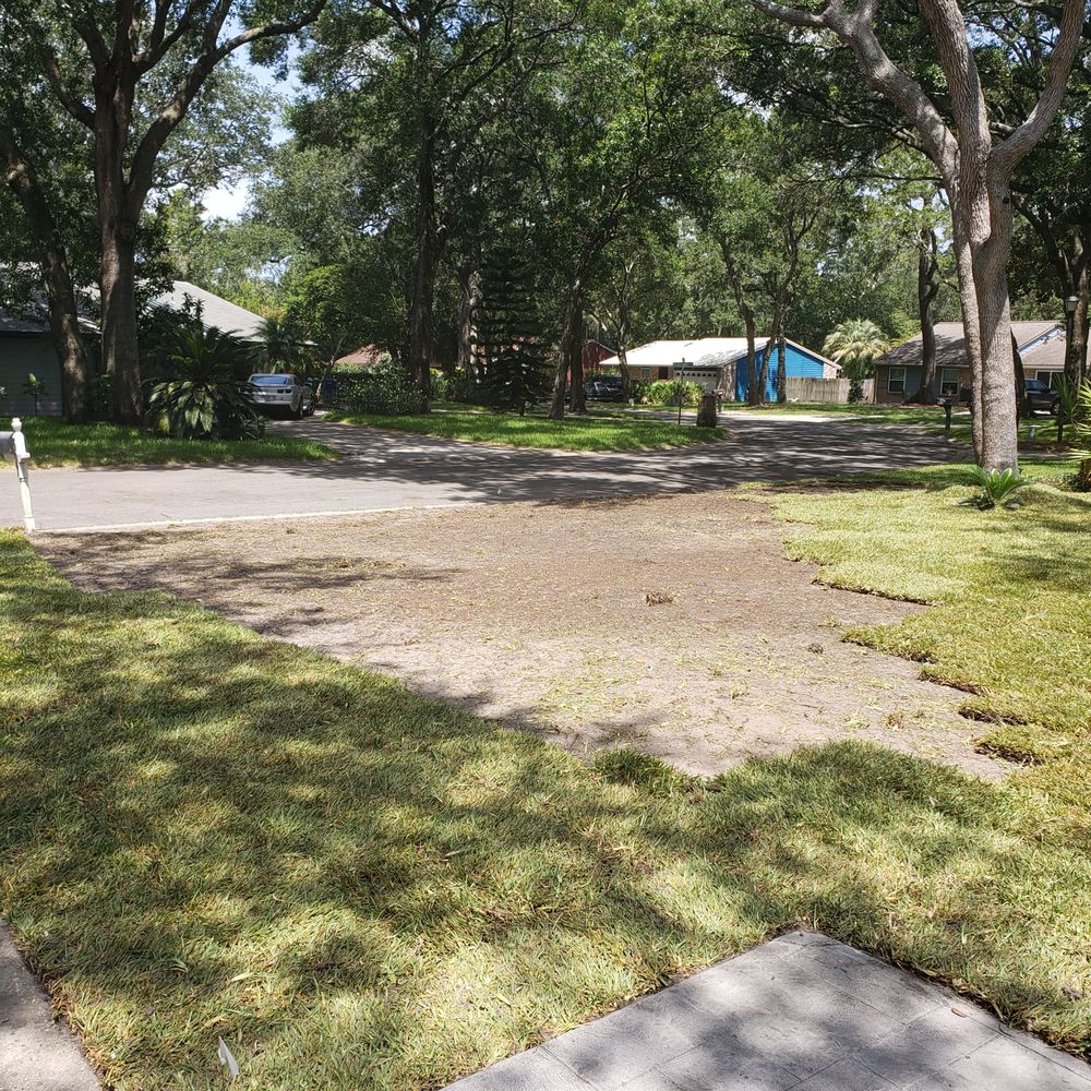 The Sod Lot - Measured wrong, not enough sod delivered. - Nurseries & Gardening Near Me - Jacksonville, Florida The Sod Lot - Measured wrong, not enough sod delivered. - Nurseries & Gardening Near Me - Jacksonville, Florida