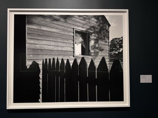 New Orleans Museum of Art by null New Orleans Museum of Art by null