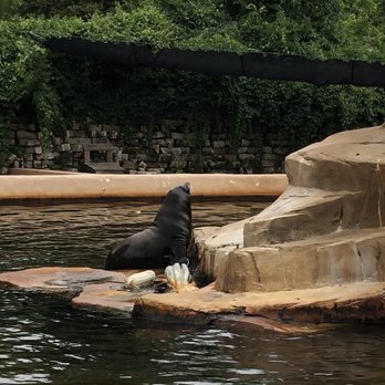 Omaha S Henry Doorly Zoo And Aquarium 1448 Photos 518 Reviews
