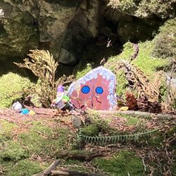 Jug Island Trail - Seen on our hike.