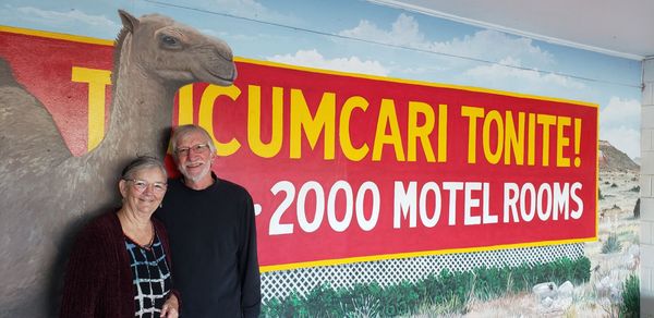 Motel Safari by null