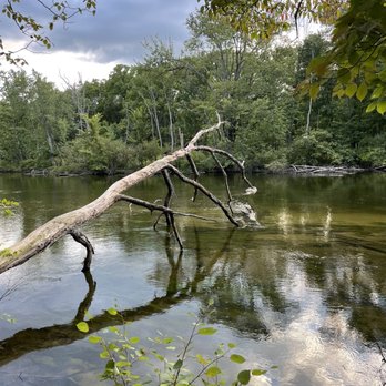 Hudson Mills Metropark - Huron River looks clean even if the news keeps talking about a chemical spill. Maybe it was downstream from here - Parks Near Me - Dexter, Michigan