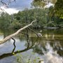 Photo of Hudson Mills Metropark
