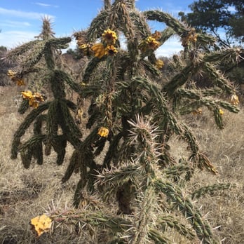 El Malpais National Monument - Parks Near Me - Grants, New Mexico