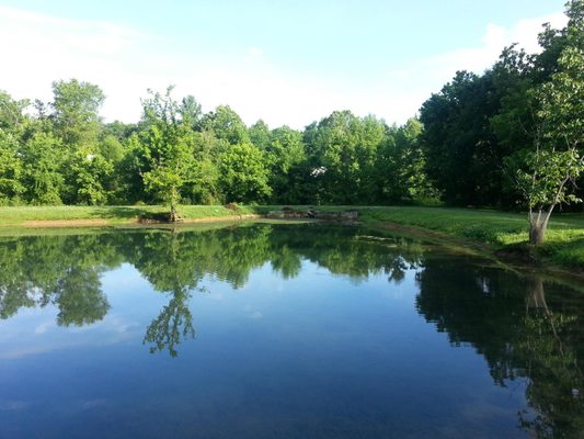 Bucksnort Trout Ranch by null