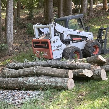 Arning Tree Service - Tree Services Near Me Arning Tree Service - Tree Services Near Me