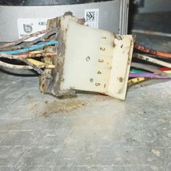 BHD Home and Mold Inspections  - Mold