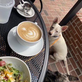 The Table - Blistered cherry tomato and mango salad Large latte - Bakeries Near Me - Asheboro, North Carolina The Table - Blistered cherry tomato and mango salad Large latte - Bakeries Near Me - Asheboro, North Carolina