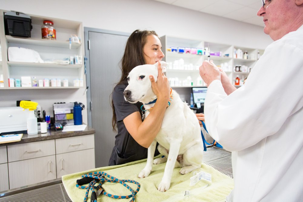 OSAGE VETERINARY CLINIC Updated July 2024 33 Photos & 16 Reviews