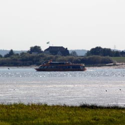 Elbdeich - Deichspaziergang