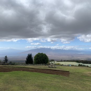 Ali'i Kula Lavender - Tours Near Me - Kula, Hawaii Ali'i Kula Lavender - Tours Near Me - Kula, Hawaii