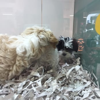 Pet Express - Pet Stores Near Me - Braintree, Massachusetts