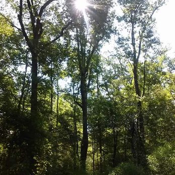 Al Buehler Cross Country Trail - Hiking Near Me - Durham, North Carolina