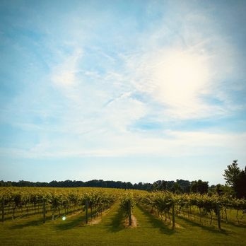 LaChance Vineyards - Gorgeous vines make tasty wines!! - Wineries Near Me - De Soto, Missouri LaChance Vineyards - Gorgeous vines make tasty wines!! - Wineries Near Me - De Soto, Missouri