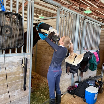 Serenity Show Stables - Horseback Riding Near Me - Miami, Florida Serenity Show Stables - Horseback Riding Near Me - Miami, Florida