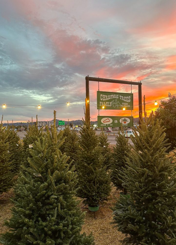 FAMILY CHRISTMAS TREE FARM 106 Photos & 114 Reviews 300 Pepper Dr