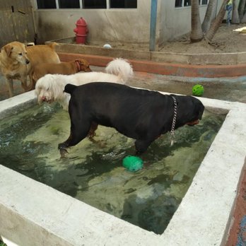 Rio's Pet Spa & Boarding - Pet Groomers Near Me - North Miami, Florida Rio's Pet Spa & Boarding - Pet Groomers Near Me - North Miami, Florida