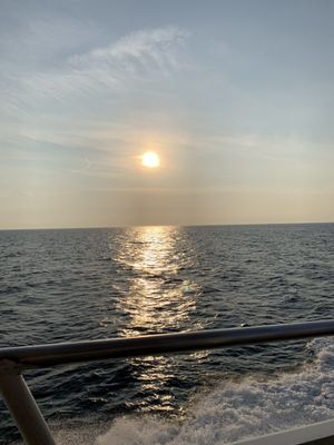 Hyannis Whale Watcher Cruises by null