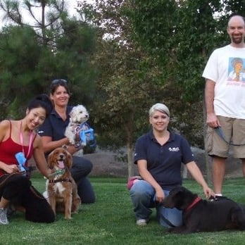 Austin Dog Zone - Graduation! - Pet Training Near Me