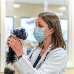 Willowrun Veterinary Hospital