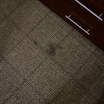 Comfort Suites Gainesville - Another - Hotels Near Me - Gainesville, Texas