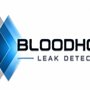 Bloodhound  Leak Detection