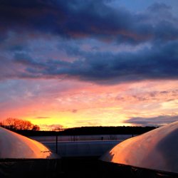 Early Bird Farm - Another beautiful sunrise at #EarlyBirdFarm! Warming the plants and seedling for opening this Friday, April 20th!