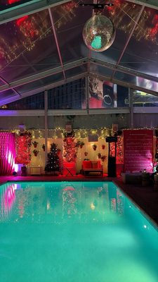 Ivory on Sunset by null