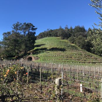 Pine Ridge Vineyards - Wineries Near Me - Napa, California Pine Ridge Vineyards - Wineries Near Me - Napa, California
