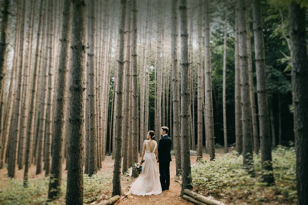 Roxbury Barn and Estate