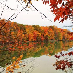 Nelson Ledges Quarry Park